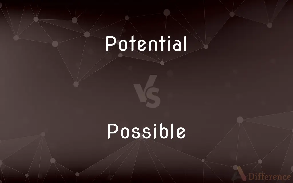 Potential vs. Possible — What's the Difference?