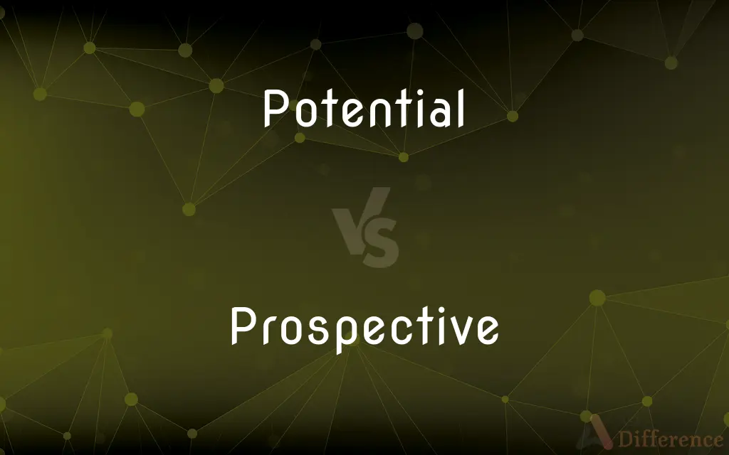 Potential vs. Prospective — What's the Difference?