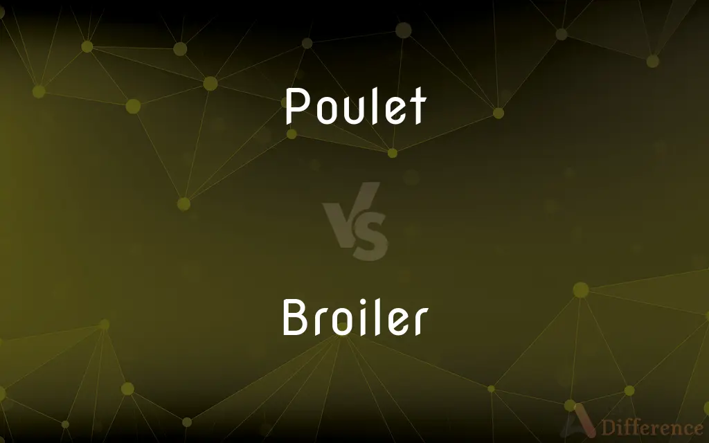 Poulet vs. Broiler — What's the Difference?