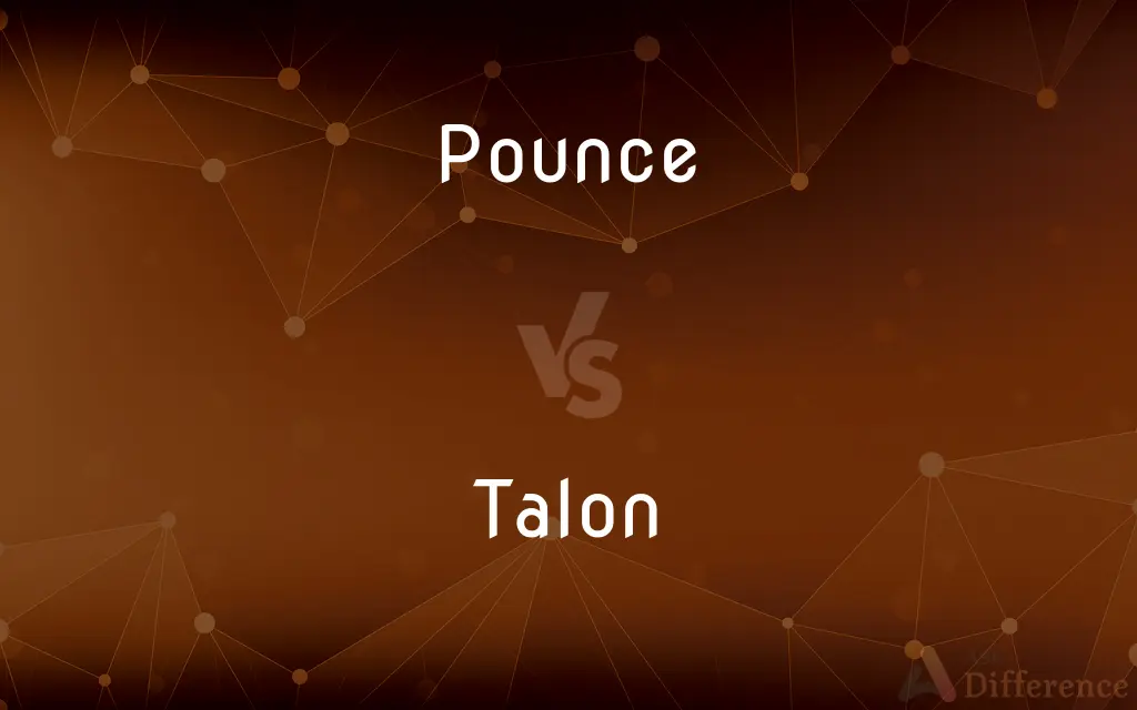 Pounce vs. Talon — What's the Difference?