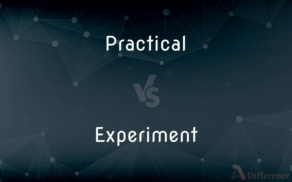 Practical vs. Experiment — What's the Difference?