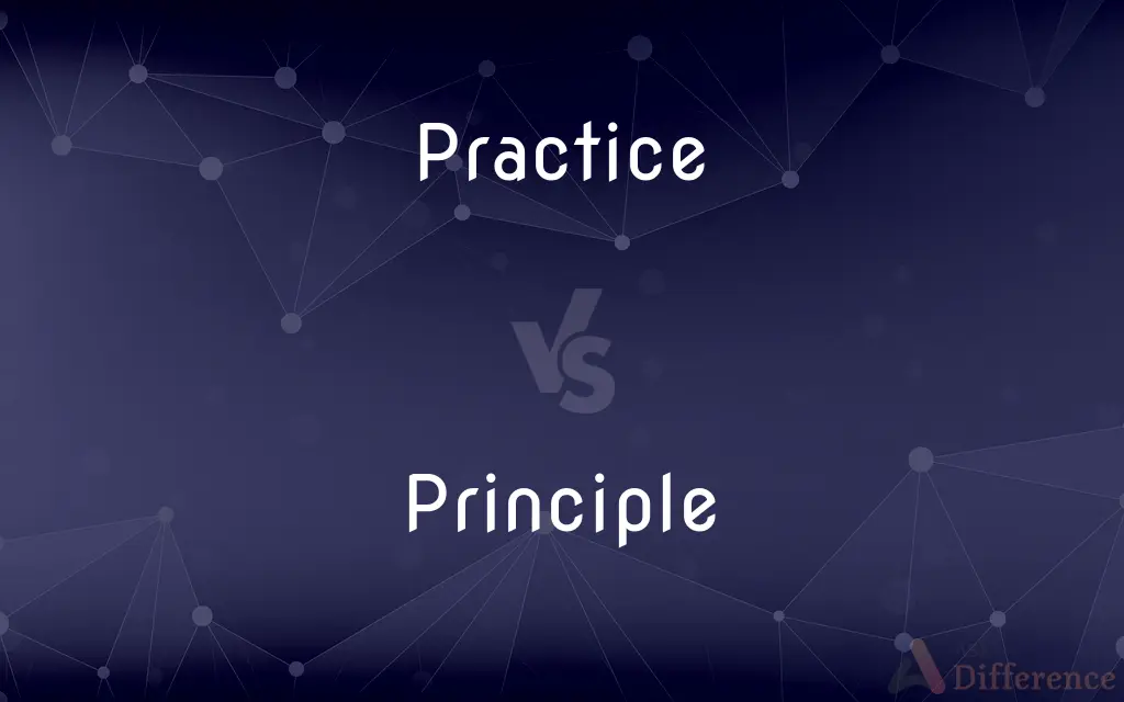 Practice vs. Principle — What's the Difference?