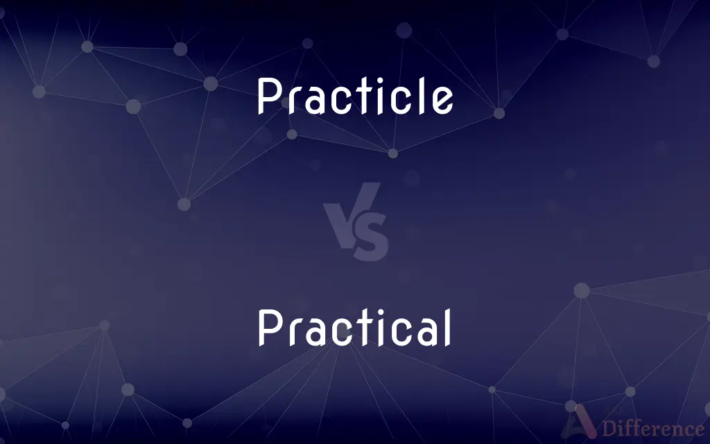 Practicle vs. Practical — Which is Correct Spelling?