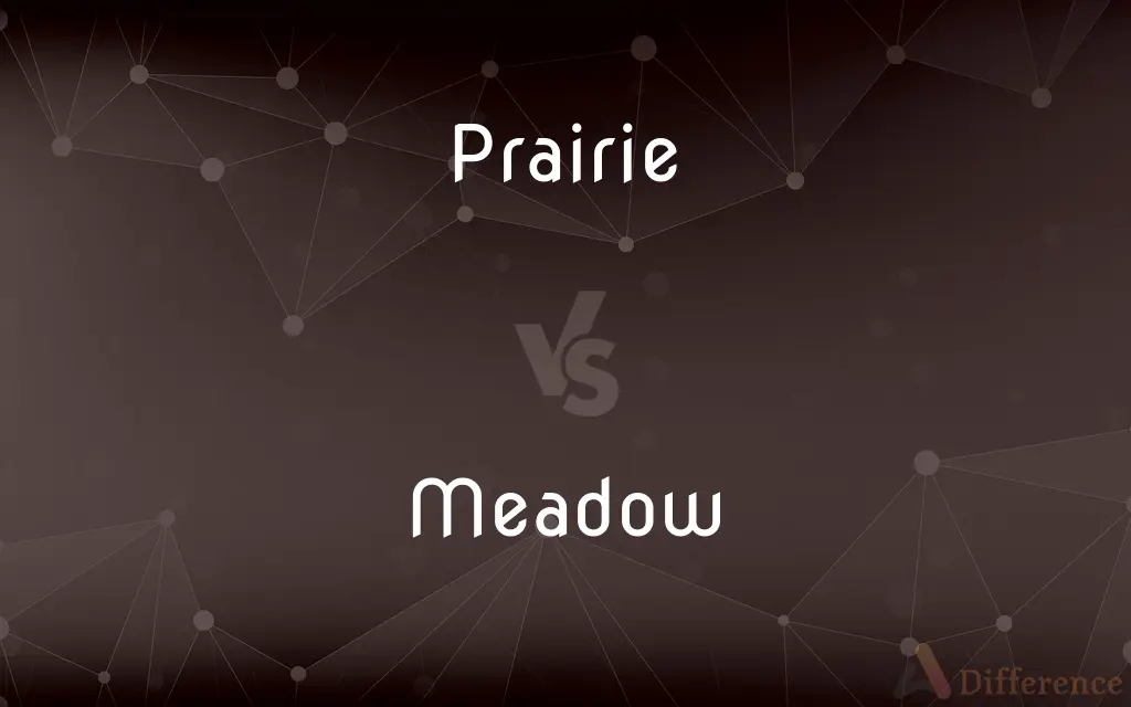 Prairie vs. Meadow — What's the Difference?