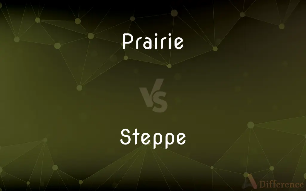 Prairie vs. Steppe — What's the Difference?