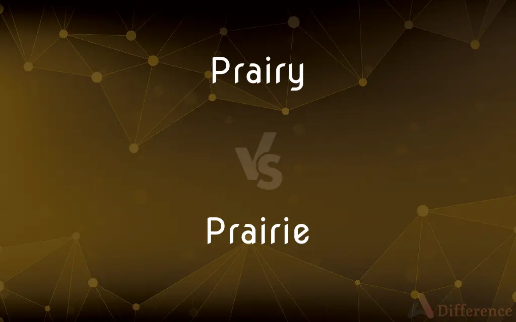 Prairy vs. Prairie — Which is Correct Spelling?