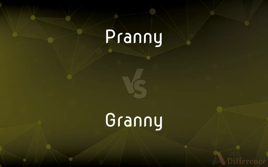 Pranny vs. Granny — What's the Difference?