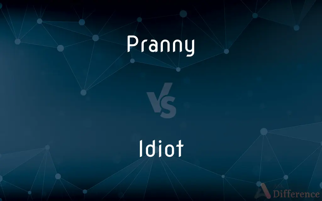 Pranny vs. Idiot — What's the Difference?