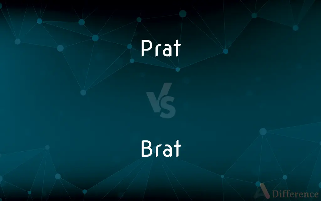 Prat vs. Brat — What's the Difference?