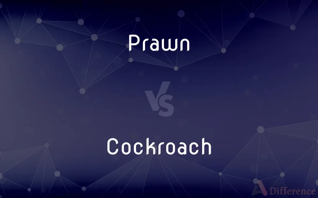Prawn vs. Cockroach — What's the Difference?
