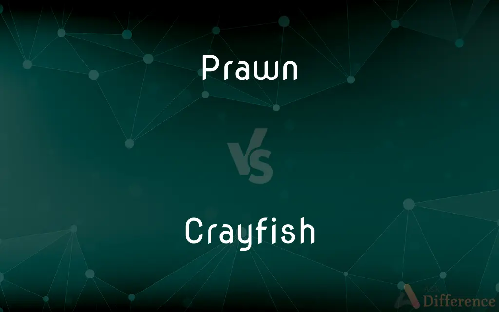 Prawn vs. Crayfish — What's the Difference?