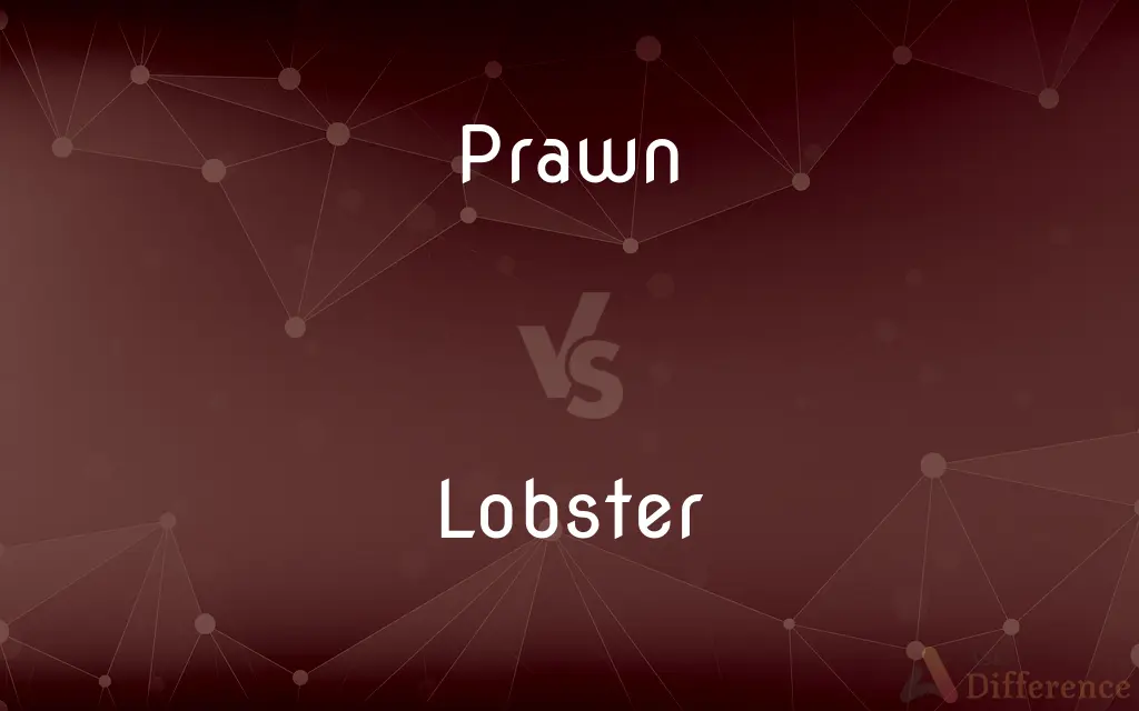 Prawn vs. Lobster — What's the Difference?