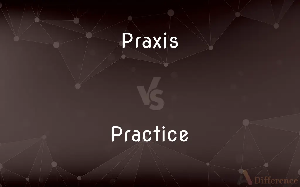 Praxis vs. Practice — What's the Difference?