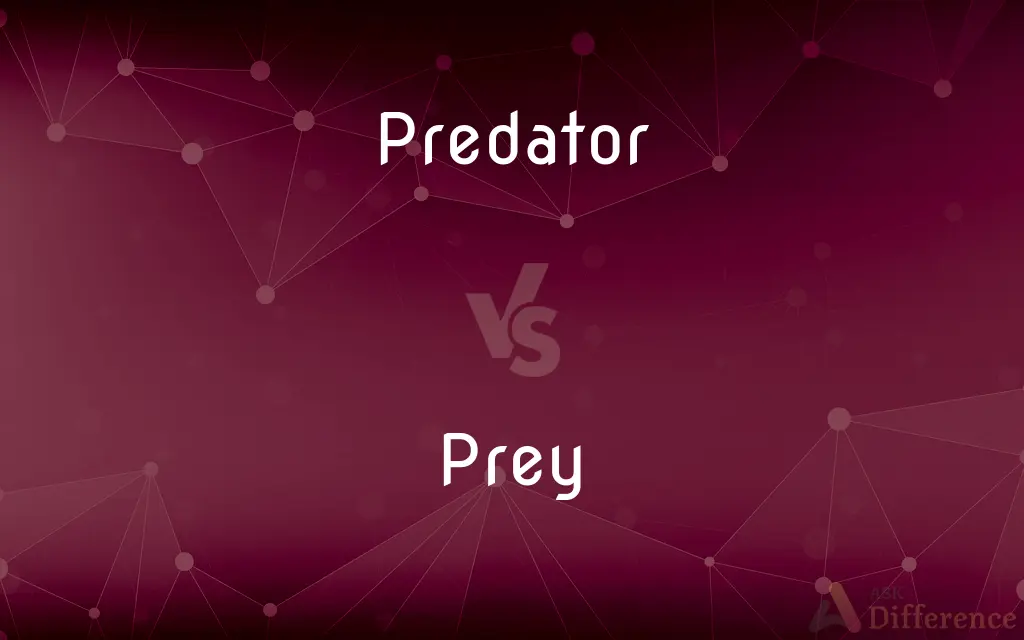 Predator vs. Prey — What's the Difference?