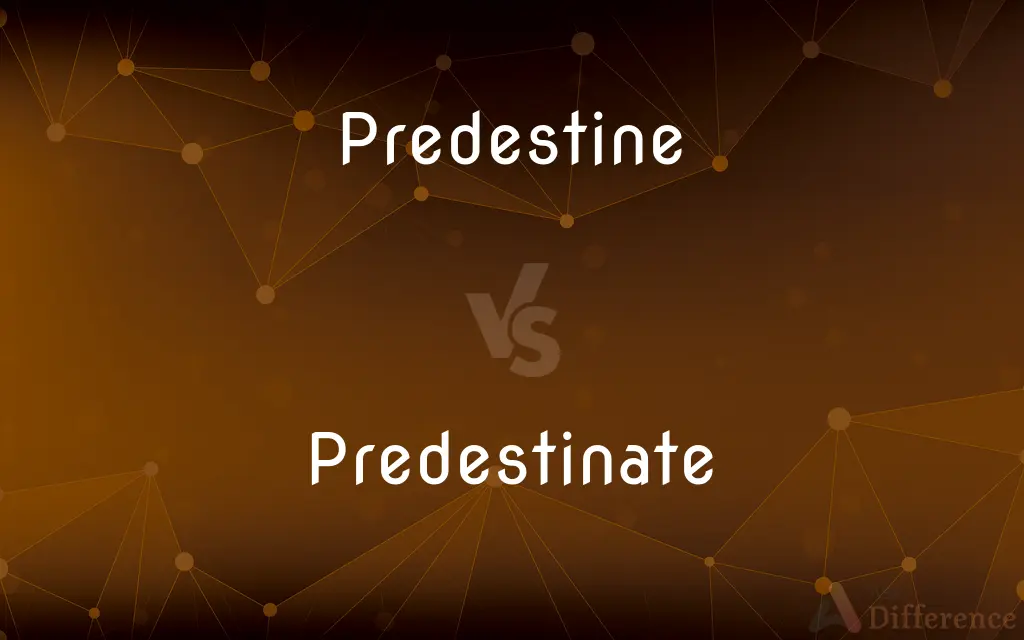 Predestine vs. Predestinate — What's the Difference?