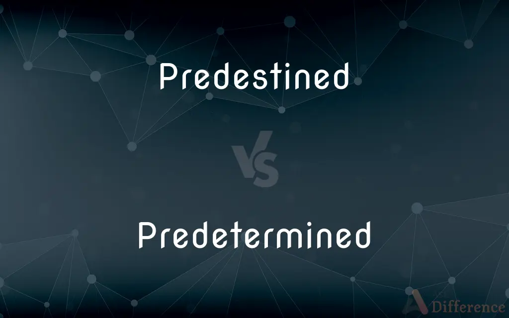 Predestined vs. Predetermined — What's the Difference?