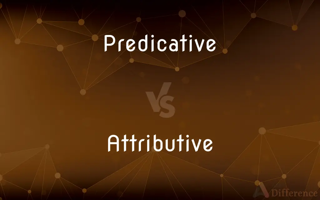 Predicative vs. Attributive — What's the Difference?