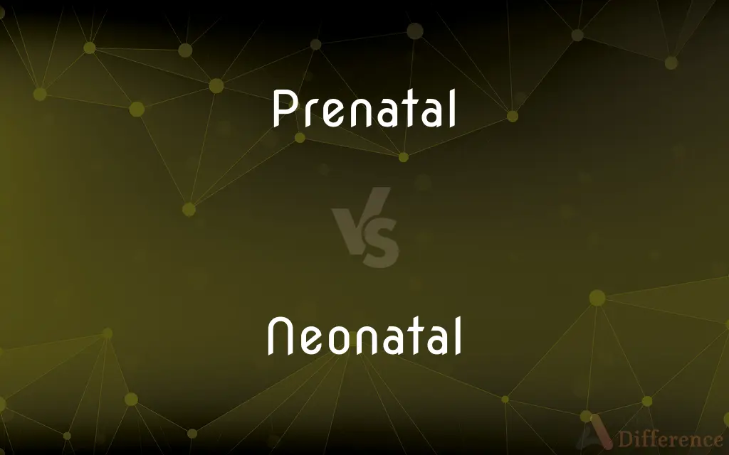 Prenatal vs. Neonatal — What's the Difference?