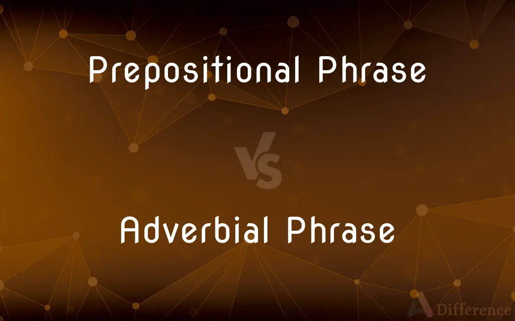 Prepositional Phrase vs. Adverbial Phrase — What's the Difference?