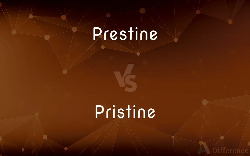 Prestine vs. Pristine — What's the Difference?