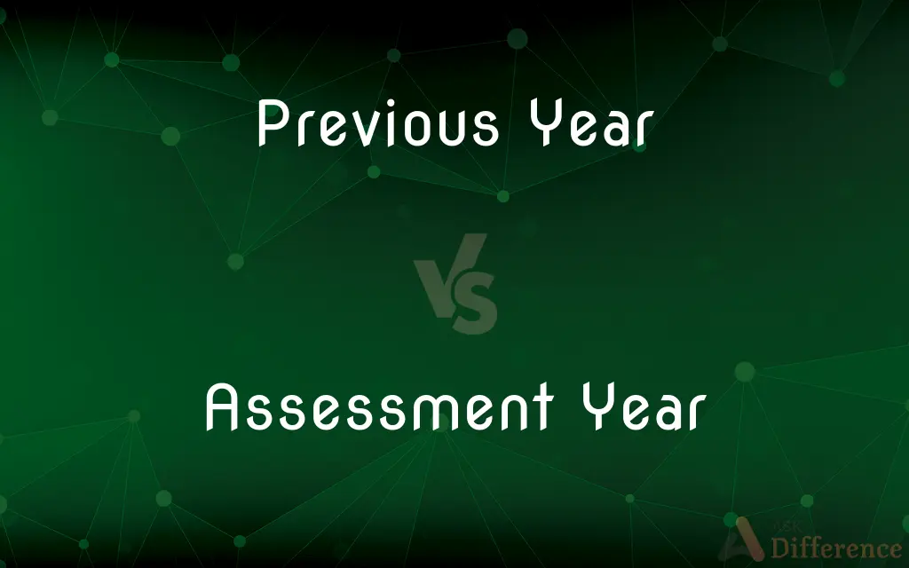 Previous Year vs. Assessment Year — What's the Difference?