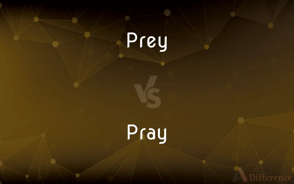 Prey vs. Pray — What's the Difference?
