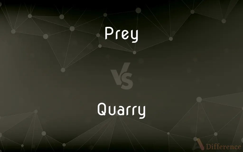 Prey vs. Quarry — What's the Difference?