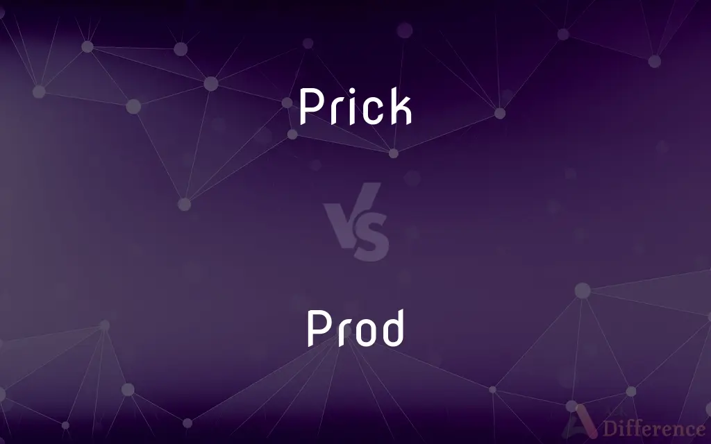 Prick vs. Prod — What's the Difference?