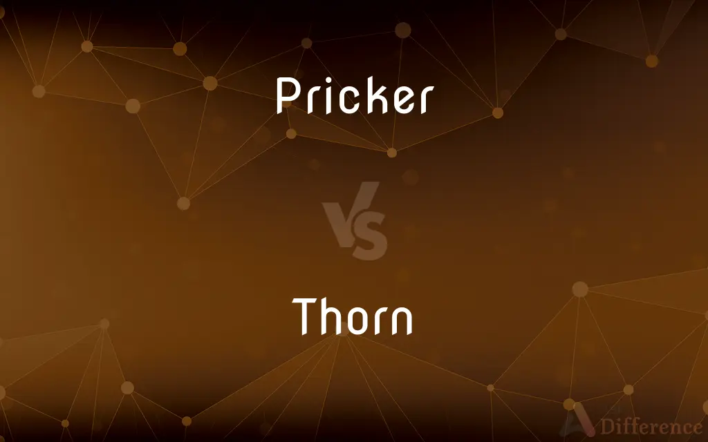 Pricker vs. Thorn — What's the Difference?