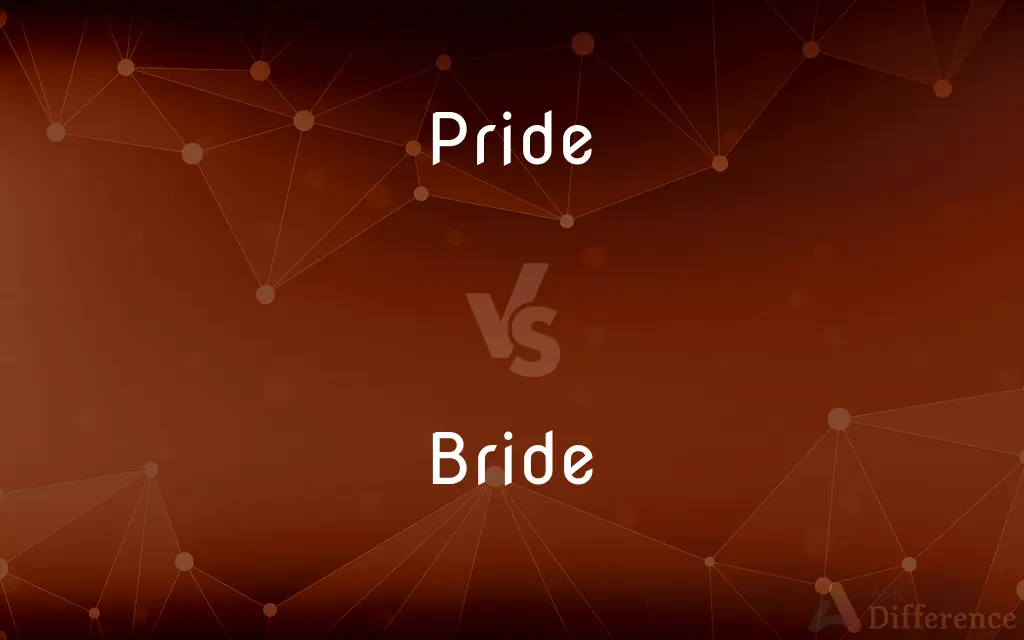 Pride vs. Bride — What's the Difference?