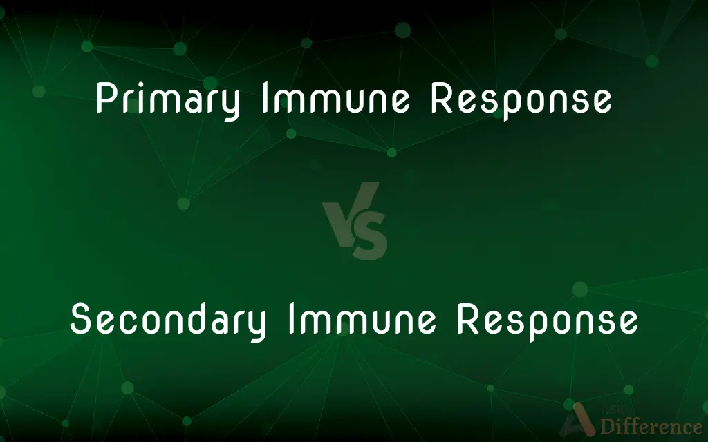 Primary Immune Response vs. Secondary Immune Response — What's the Difference?