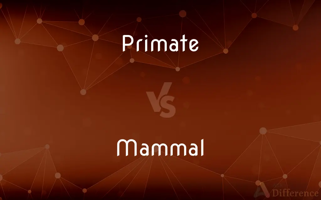 Primate vs. Mammal — What's the Difference?