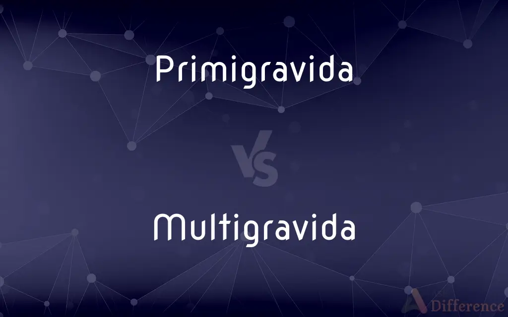Primigravida vs. Multigravida — What's the Difference?