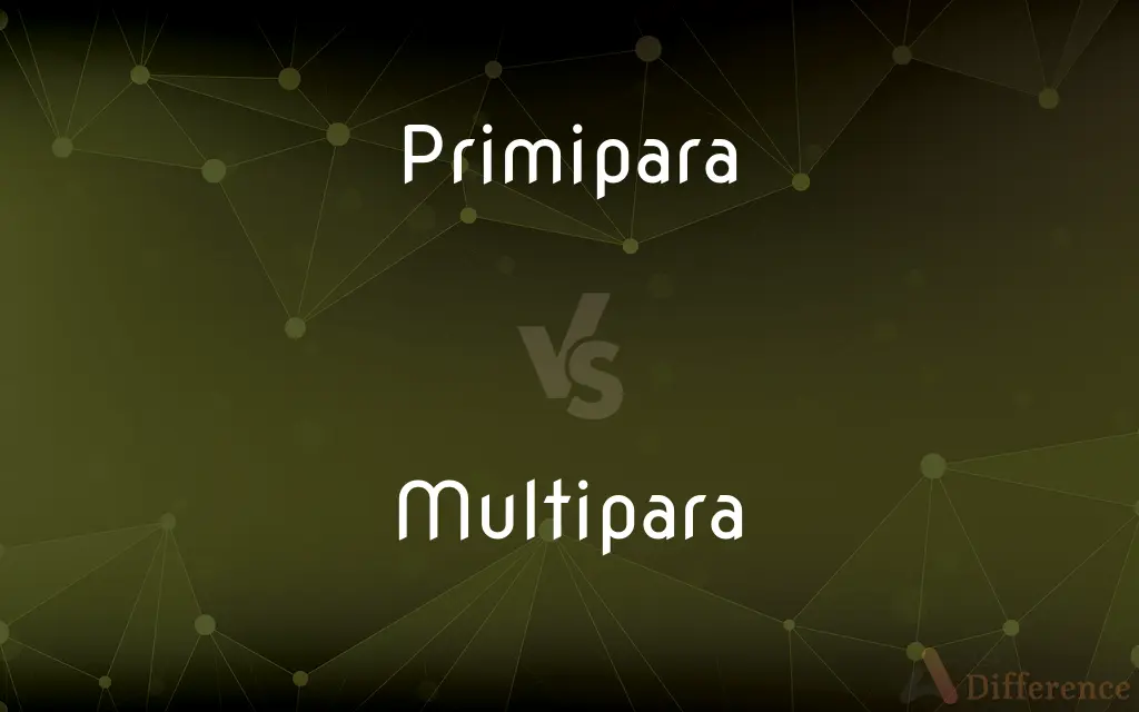 Primipara vs. Multipara — What's the Difference?