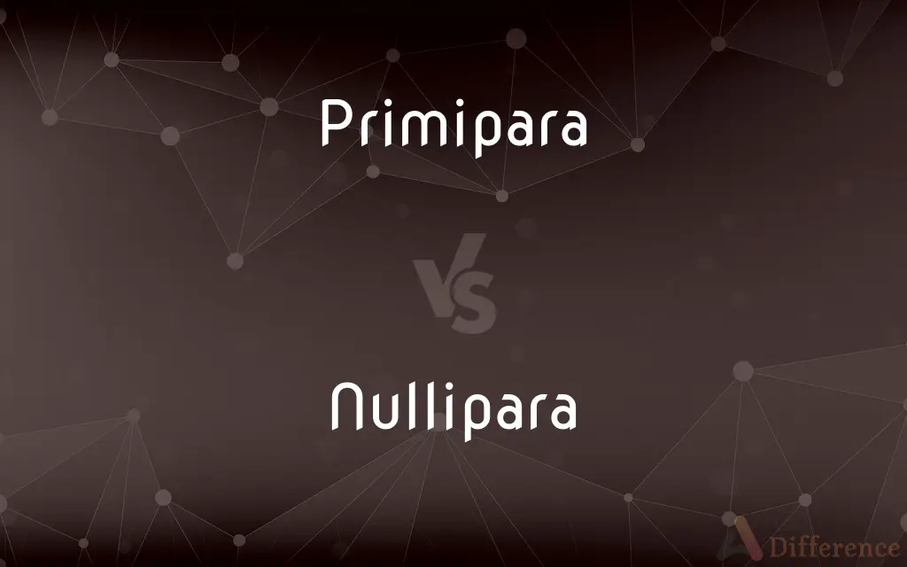 Primipara vs. Nullipara — What's the Difference?