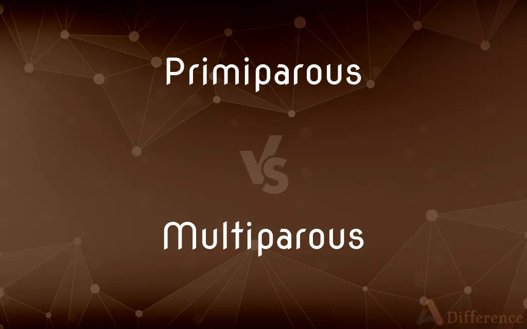 Primiparous vs. Multiparous — What's the Difference?