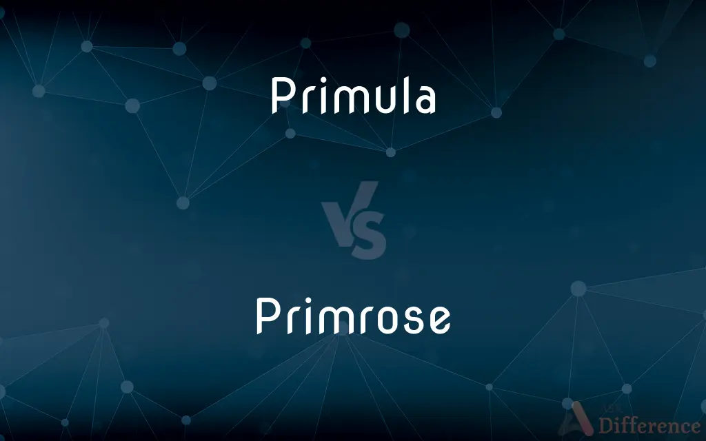 Primula vs. Primrose — What's the Difference?