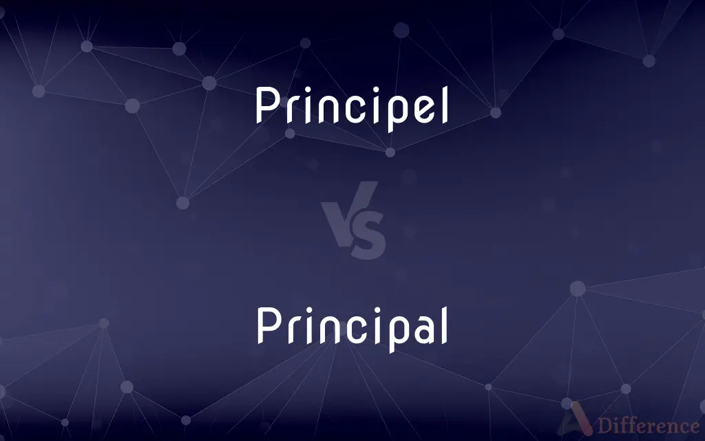 Principel vs. Principal — Which is Correct Spelling?