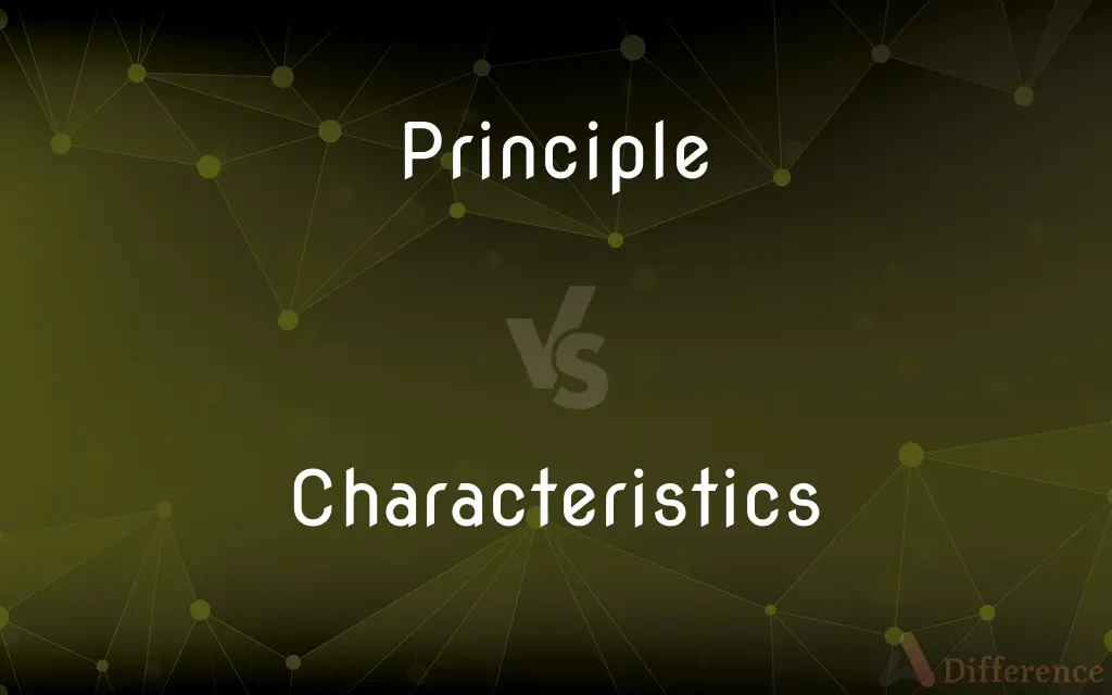Principle vs. Characteristics — What's the Difference?