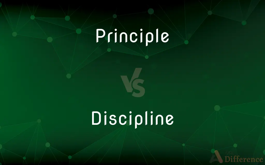 Principle vs. Discipline — What's the Difference?