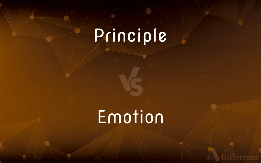 Principle vs. Emotion — What's the Difference?