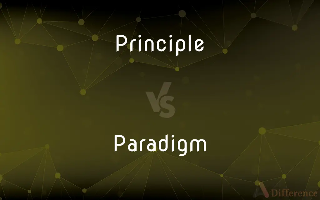 Principle vs. Paradigm — What's the Difference?