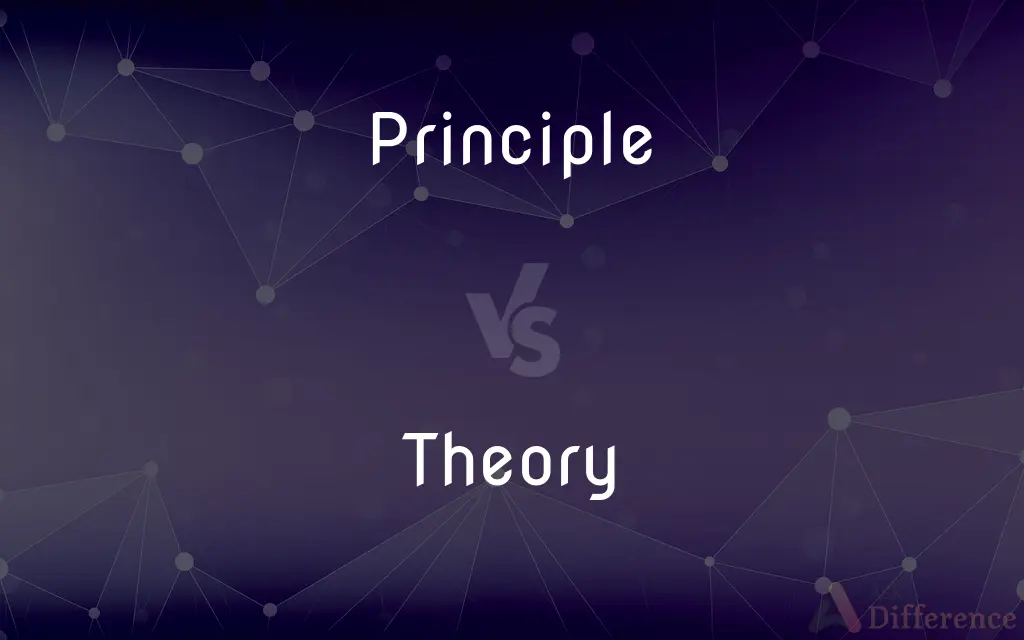 Principle vs. Theory — What's the Difference?