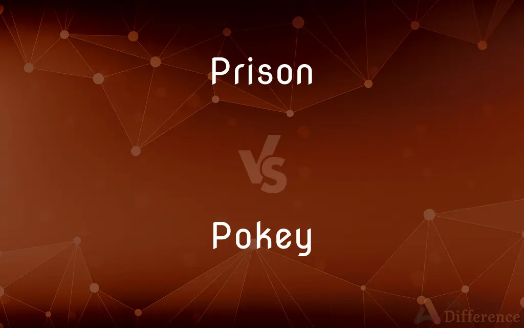 Prison vs. Pokey — What's the Difference?