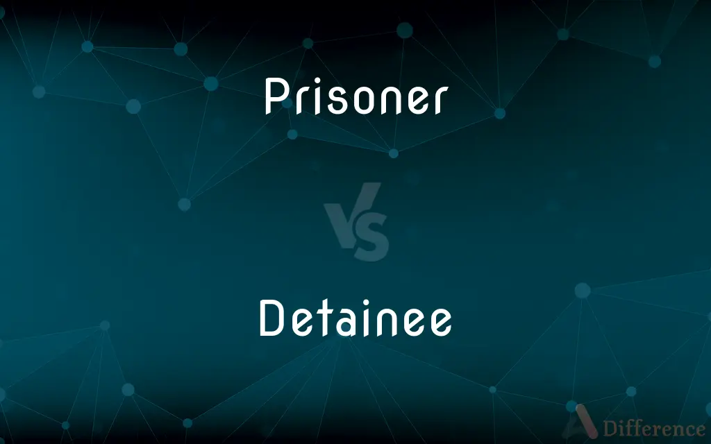 Prisoner vs. Detainee — What's the Difference?