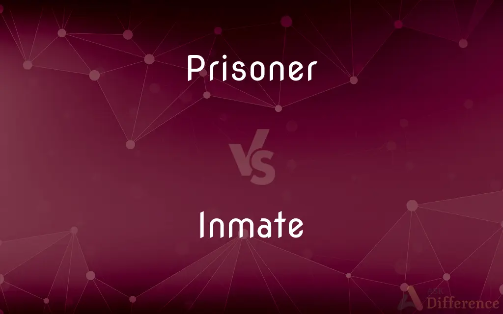 Prisoner vs. Inmate — What's the Difference?