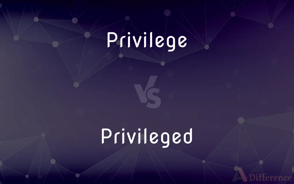 Privilege vs. Privileged — What's the Difference?