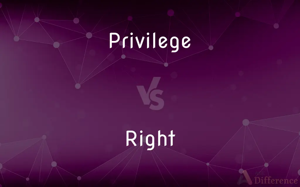 Privilege vs. Right — What's the Difference?