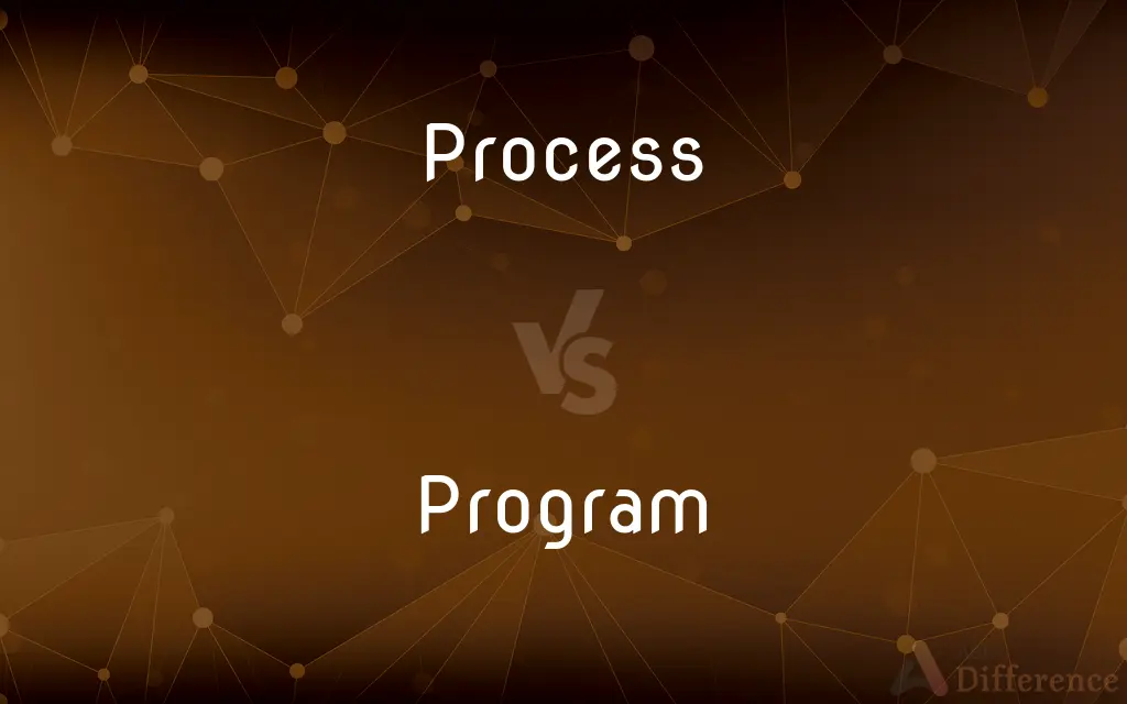 Process vs. Program — What's the Difference?