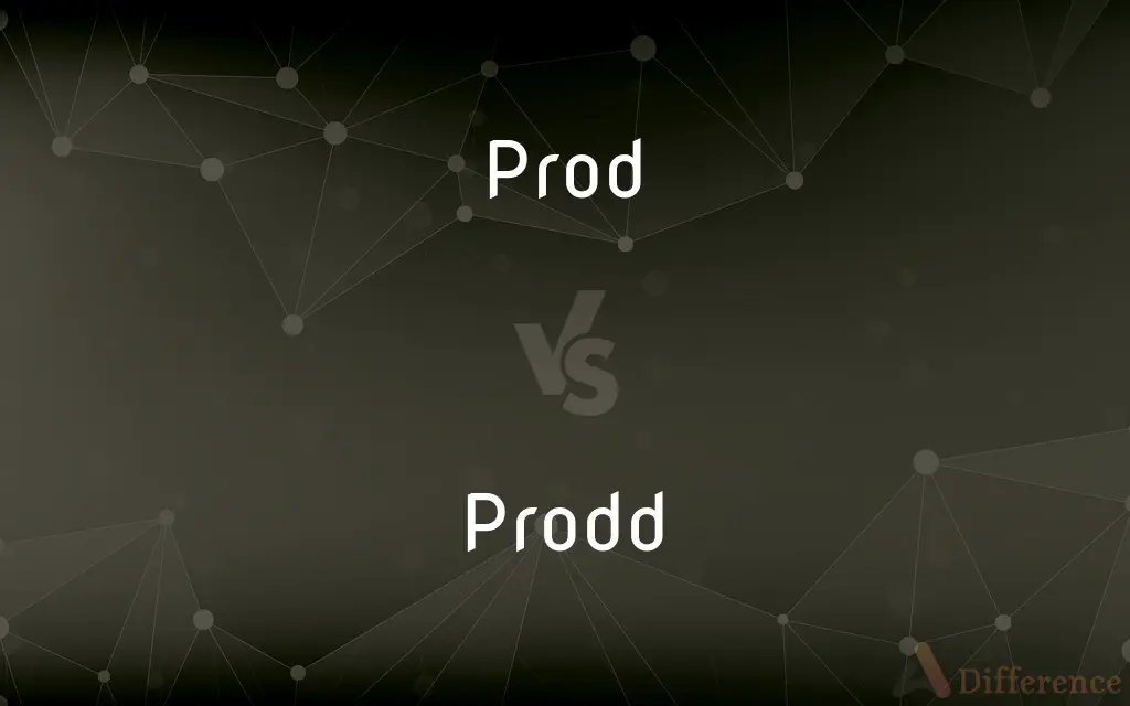 Prod vs. Prodd — What's the Difference?